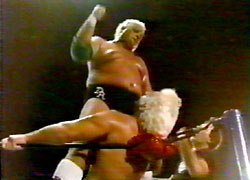 Ric Flair  wrestling