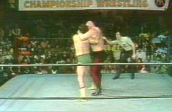 1980s wrestling