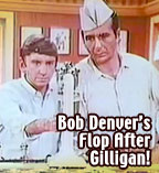 The Good Guys starring Bob Denver