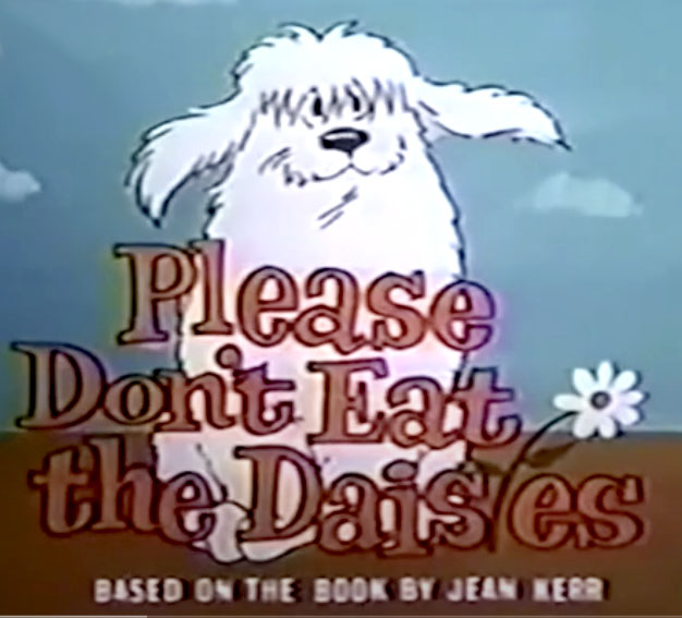 Please Dont Eat The Daisies TV Show 1960s TV