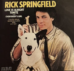 Rick Springfield Single 45