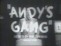 andy's gang