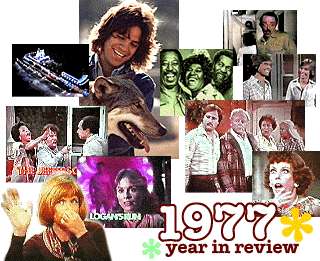 1977 year in review!