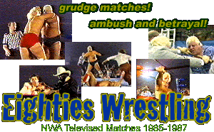 Wrestling in the Eighties