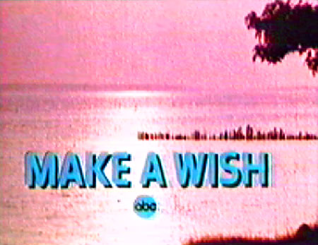 Make A Wish TV show